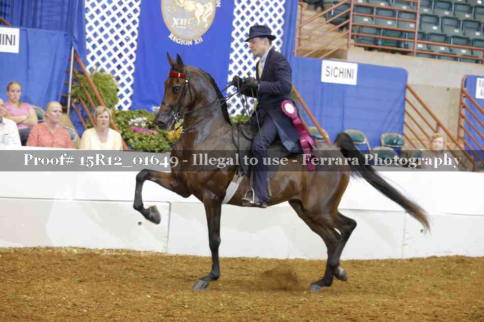 Proof 15R12_01649