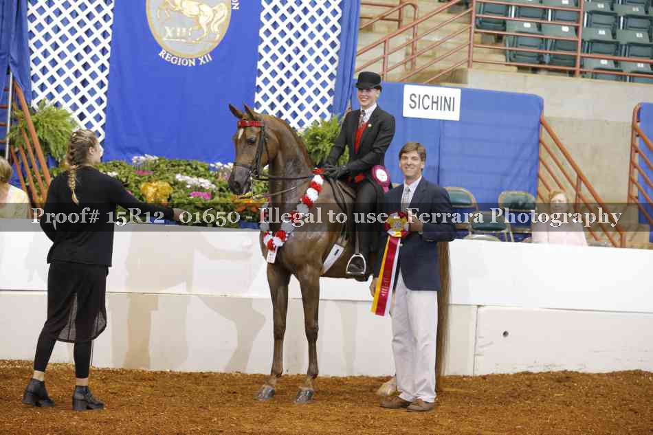 Proof 15R12_01650