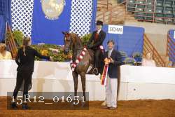15R12_01651 proof