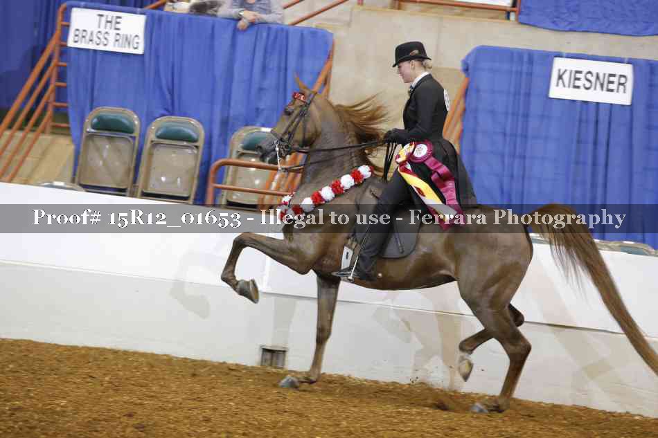 Proof 15R12_01653