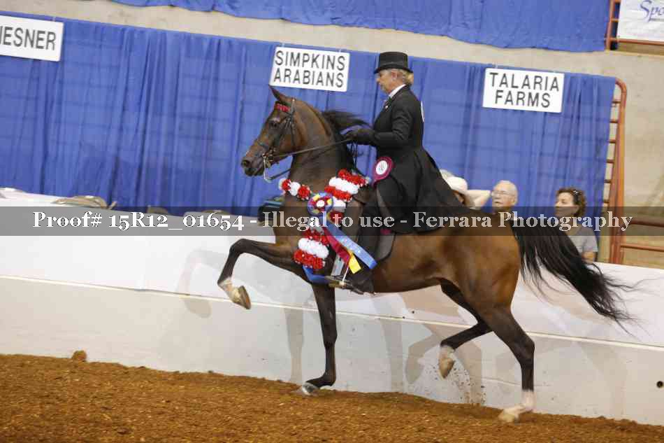 Proof 15R12_01654