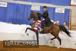 15R12_01654 proof