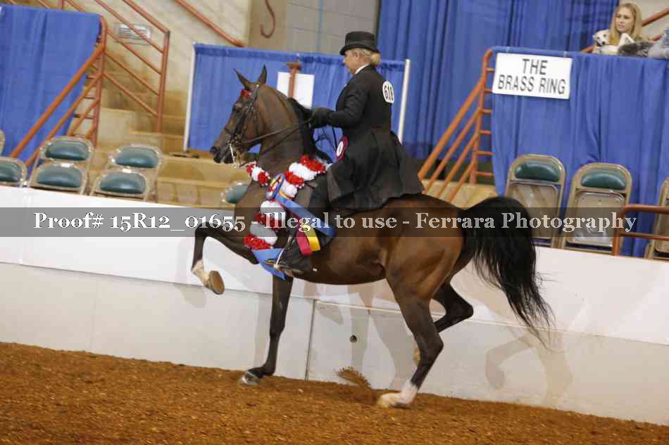 Proof 15R12_01655