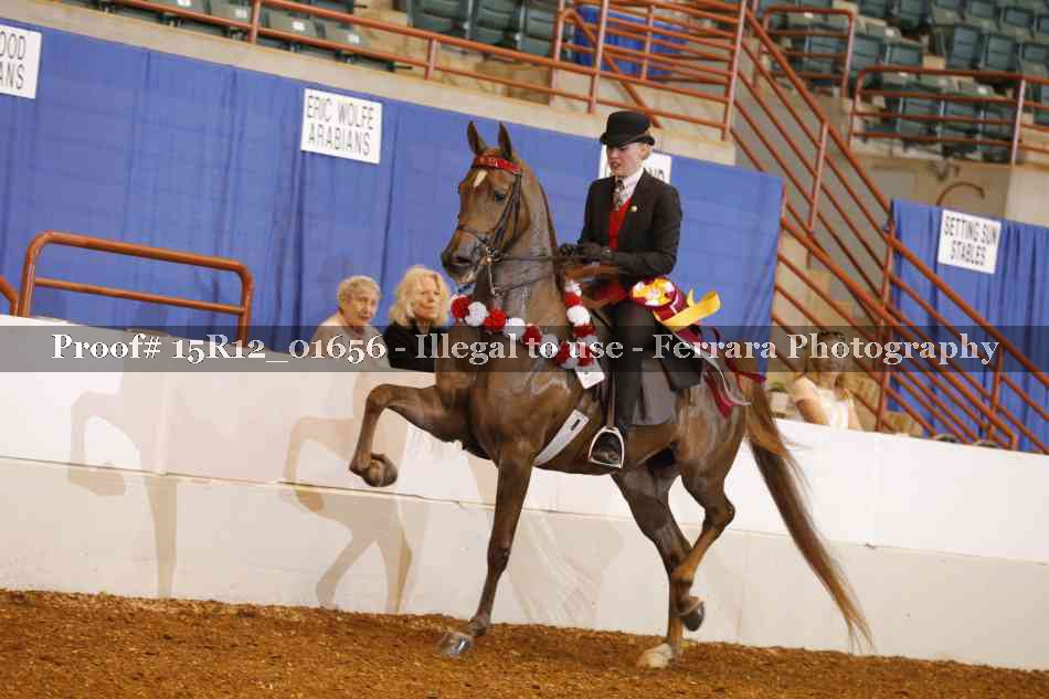 Proof 15R12_01656