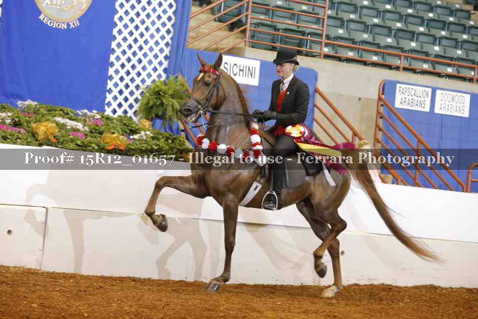Proof 15R12_01657