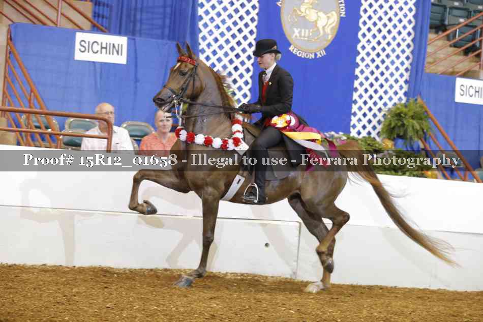 Proof 15R12_01658