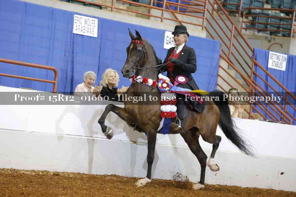 Proof 15R12_01660