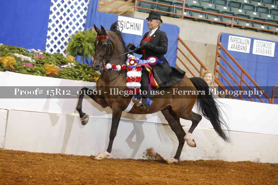 Proof 15R12_01661