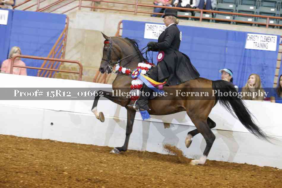Proof 15R12_01662