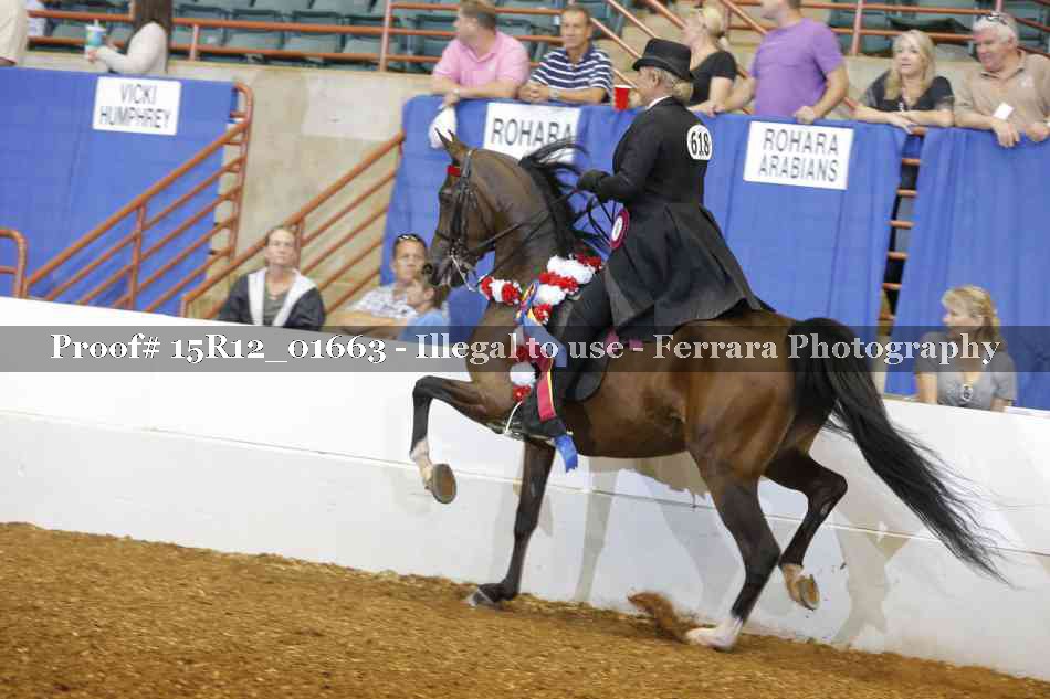 Proof 15R12_01663