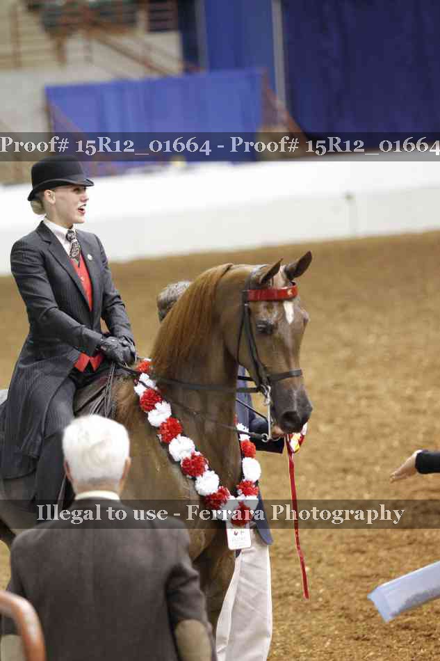 Proof 15R12_01664