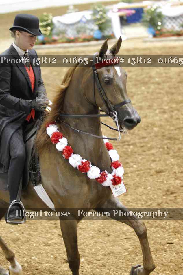 Proof 15R12_01665
