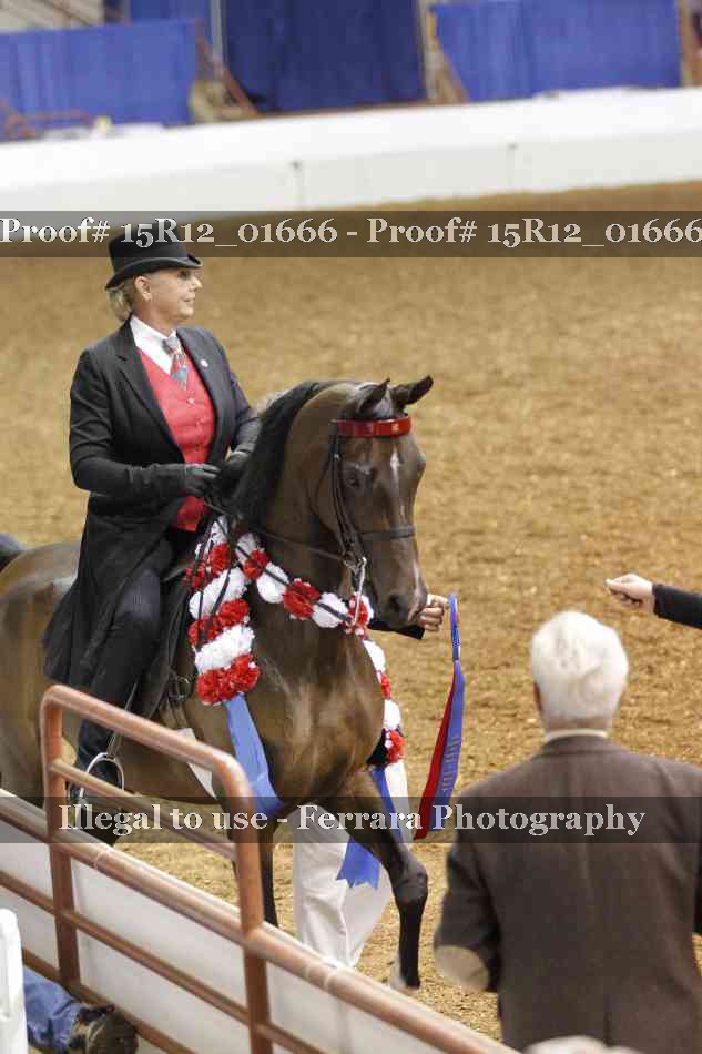 Proof 15R12_01666