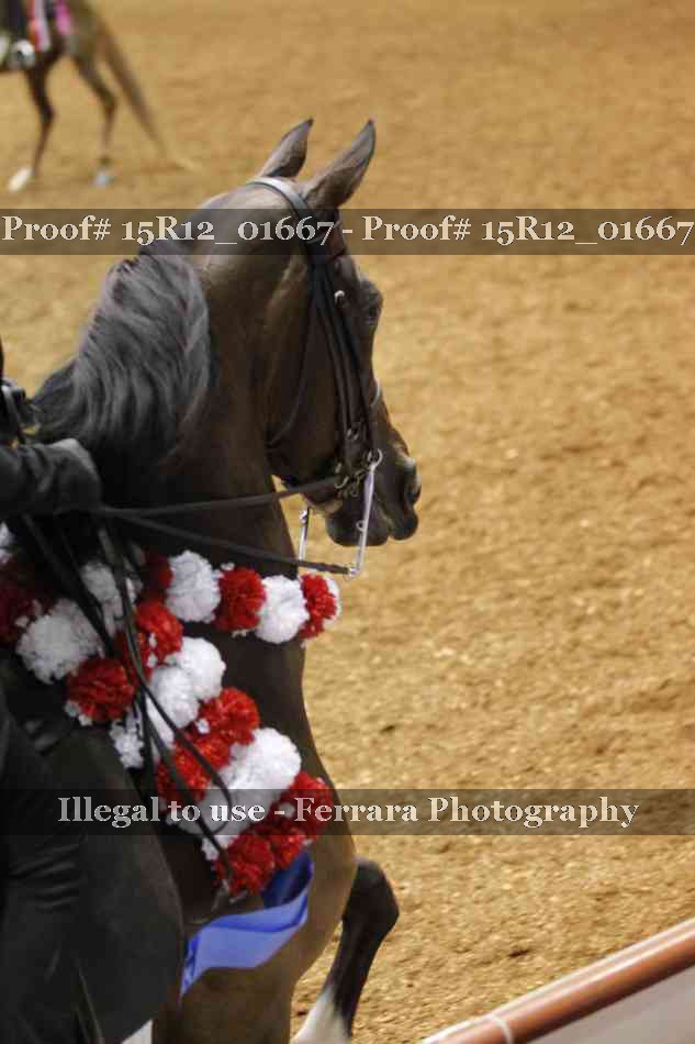 Proof 15R12_01667