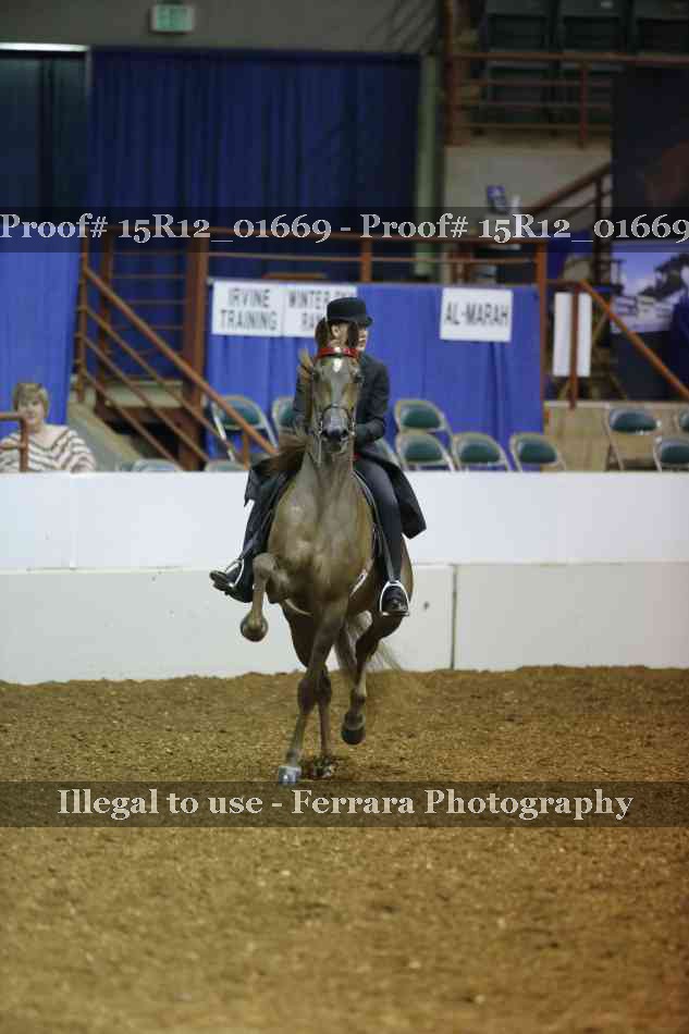 Proof 15R12_01669