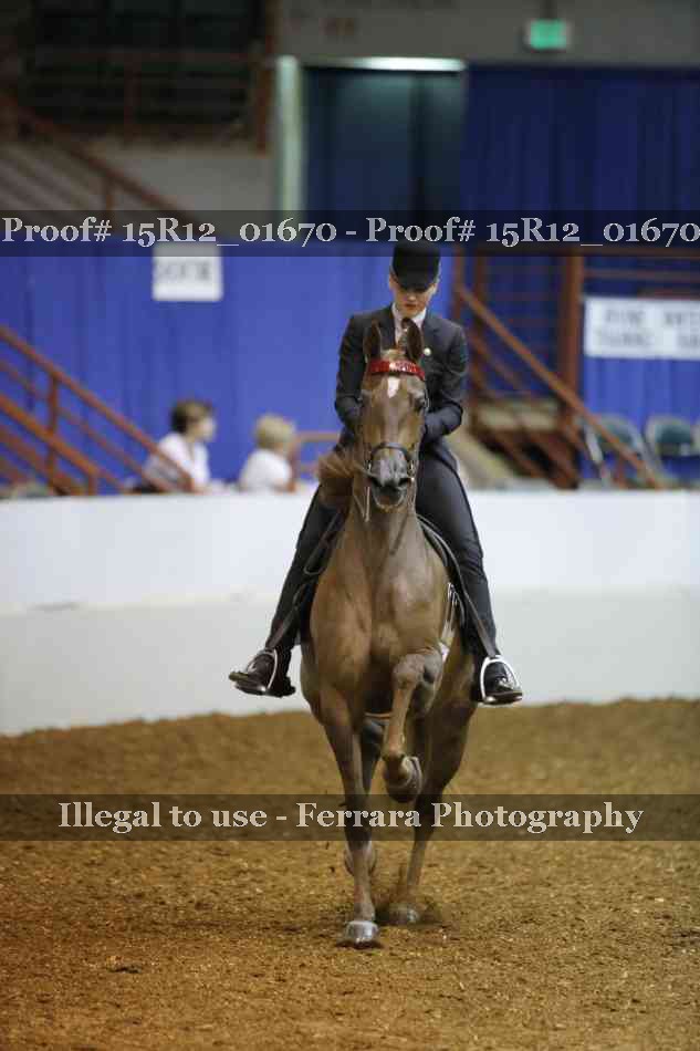 Proof 15R12_01670