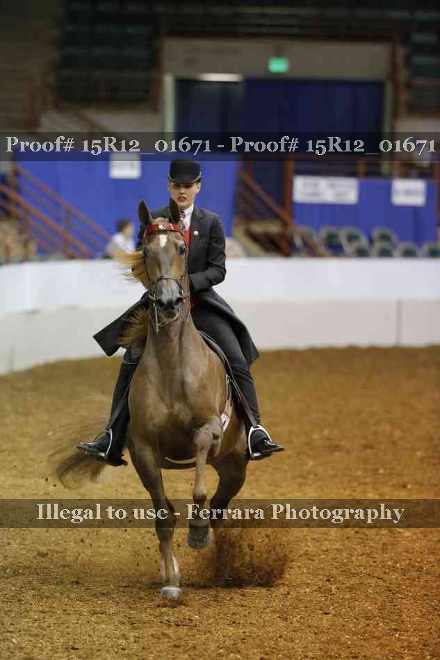 Proof 15R12_01671