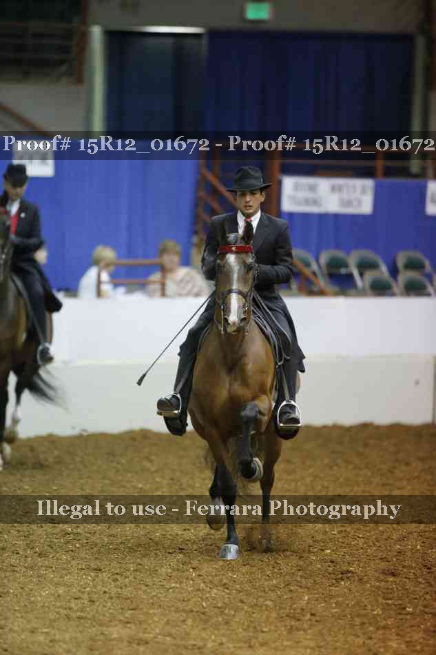Proof 15R12_01672