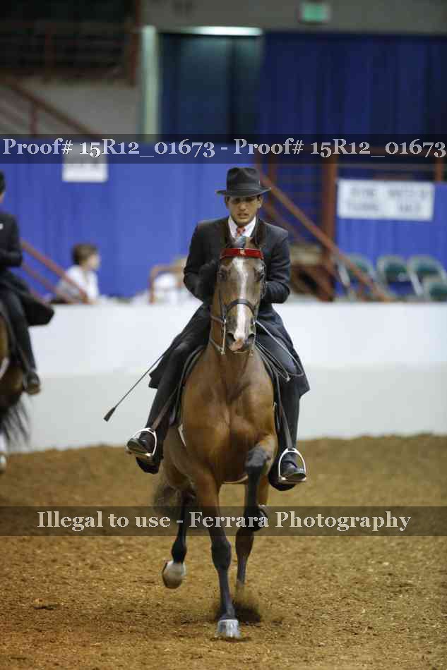 Proof 15R12_01673