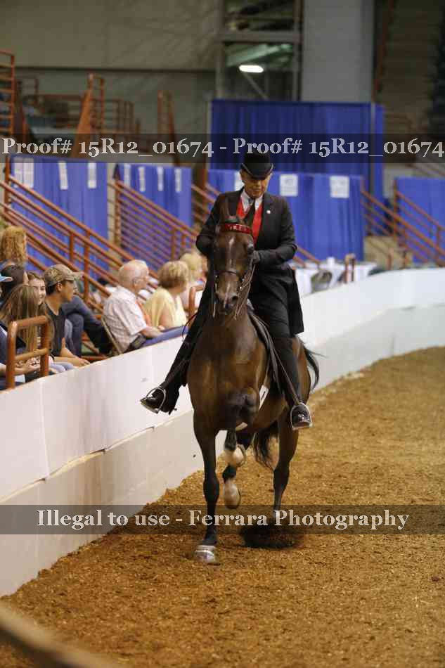Proof 15R12_01674