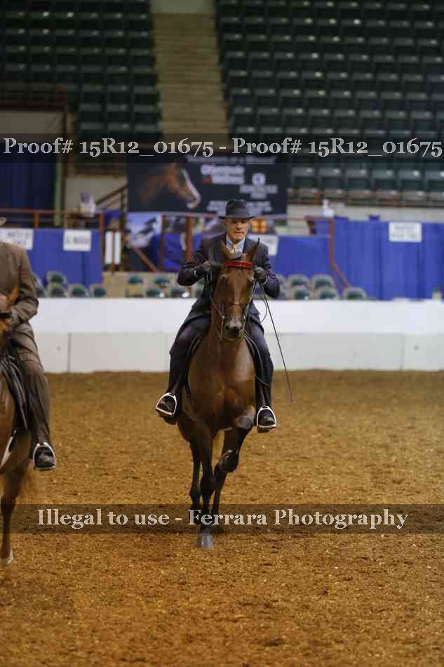 Proof 15R12_01675