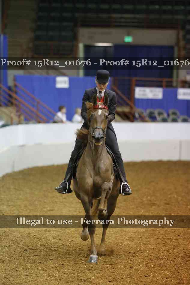 Proof 15R12_01676
