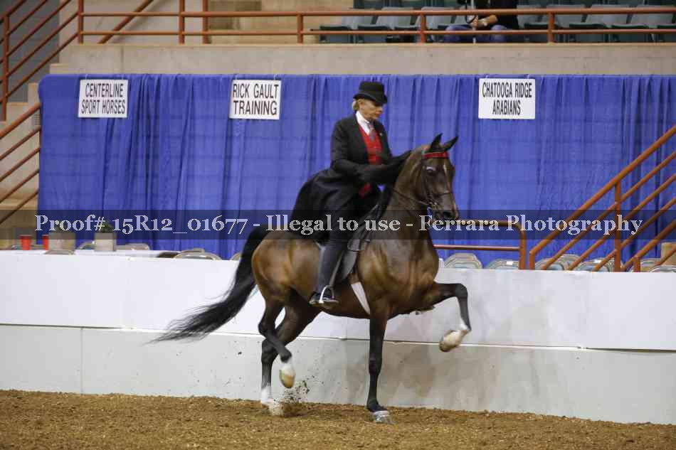 Proof 15R12_01677