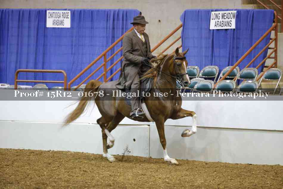 Proof 15R12_01678