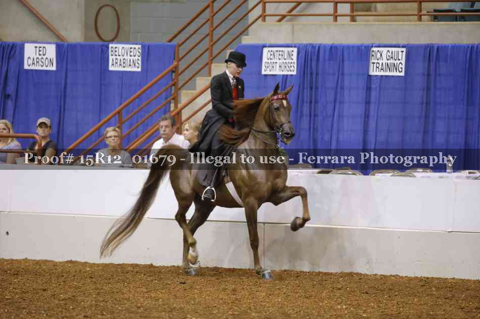 Proof 15R12_01679