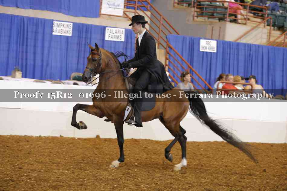 Proof 15R12_01696