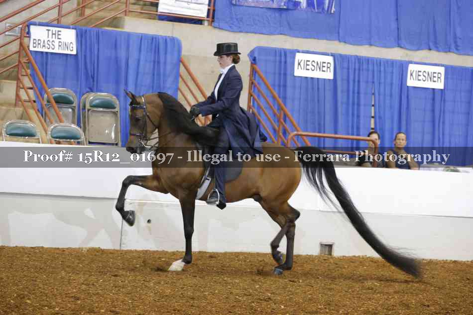 Proof 15R12_01697