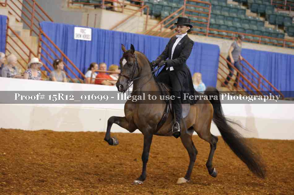 Proof 15R12_01699