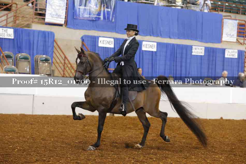 Proof 15R12_01700
