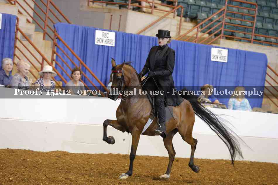 Proof 15R12_01701