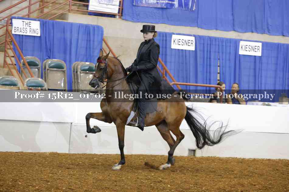 Proof 15R12_01702