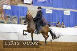 15R12_01702 proof