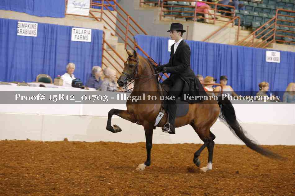 Proof 15R12_01703