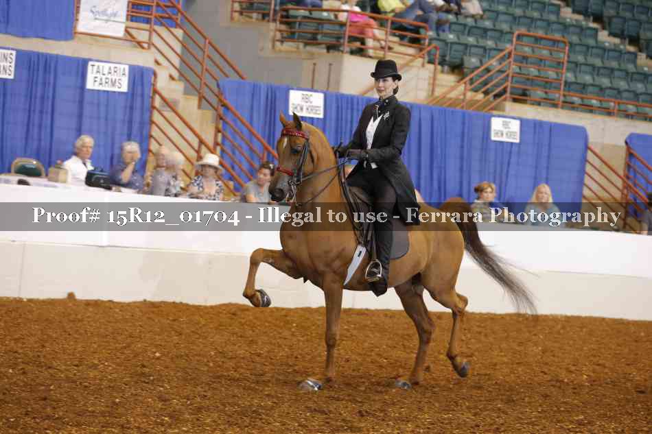Proof 15R12_01704