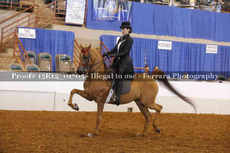 Proof 15R12_01705