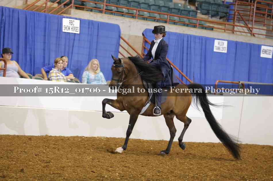 Proof 15R12_01706