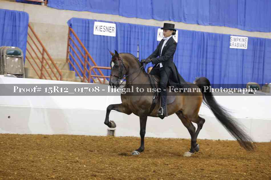 Proof 15R12_01708