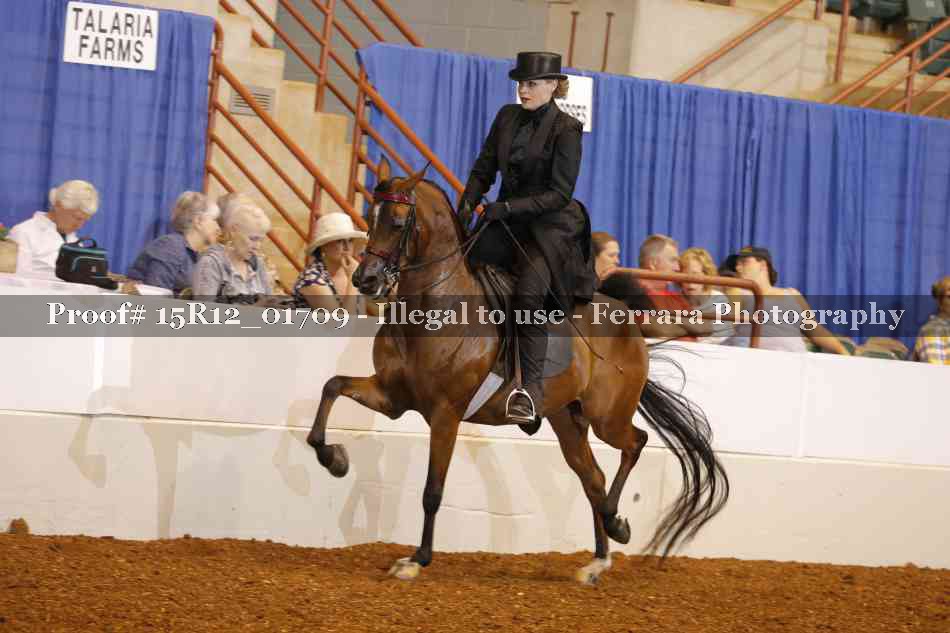 Proof 15R12_01709