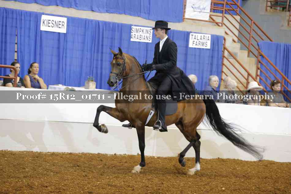 Proof 15R12_01711