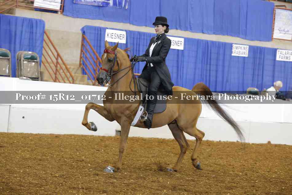 Proof 15R12_01712