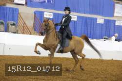 15R12_01712 proof