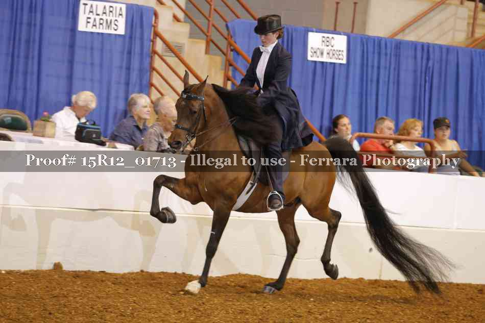 Proof 15R12_01713