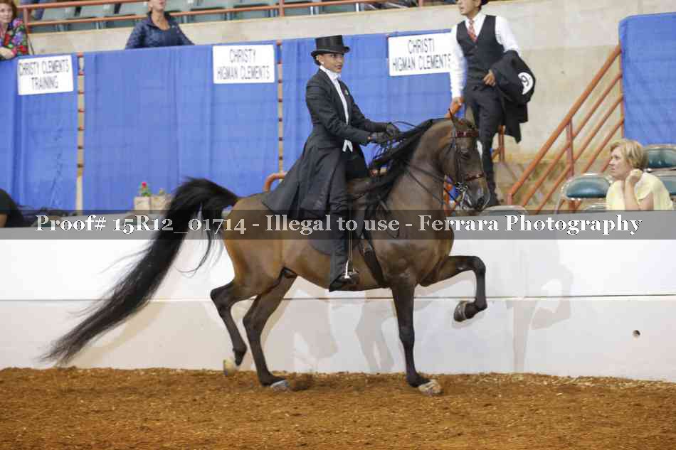 Proof 15R12_01714