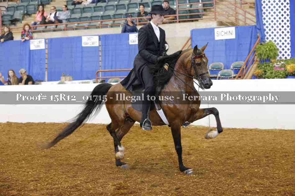 Proof 15R12_01715