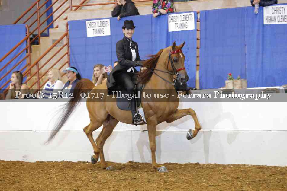 Proof 15R12_01717