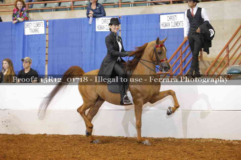 Proof 15R12_01718